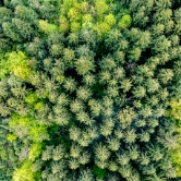 Forum Wald und Wild 2025