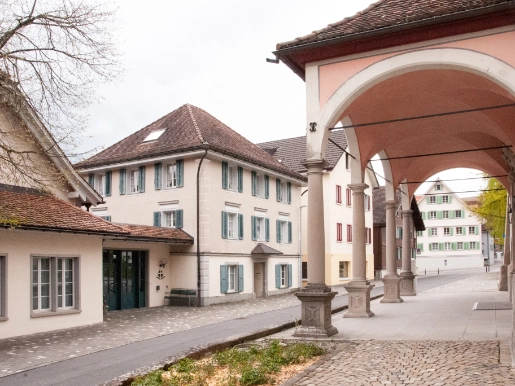 Abb 1_(c) Amt für Denkmalpflege und Archäologie Kanton Zug