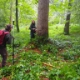 Sabrina Maurer und Linus Ender vom Amt für Wald und Wild erfassen im Rahmen der Waldinventur an vorgegeben Stichprobenpunkten verschiedene Daten zum Baumbestand.