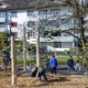 Kanton_Zug_Familienzulagen