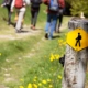 Rhombus_Wanderweg