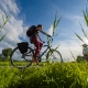 Velowegnetz