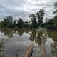 Binzmüliweiher
