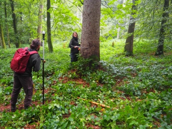 Sabrina Maurer und Linus Ender vom Amt für Wald und Wild überprüfen einen Stichprobenpunkt im Wald und erheben verschiedene Daten zum Baumbestand.