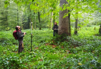 Sabrina Maurer und Linus Ender vom Amt für Wald und Wild überprüfen einen Stichprobenpunkt und erheben verschiedene Daten zum Baumbestand.