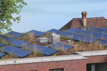 Photovoltaikanlage im Roost in Zug