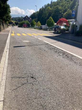 Belagsarbeiten Neuägeri