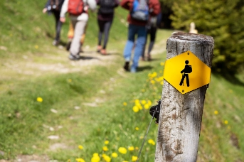 Rhombus_Wanderweg