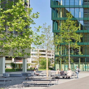 SchuleQuadratisch