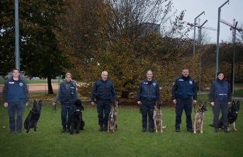 Elik gewinnt die Polizeihundeprüfung 2019