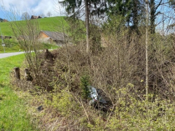 Alkoholisiert von der Strasse abgekommen - Bild 2