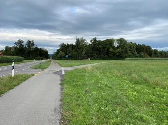 Auto überquert Wiesland und prallt in Baum