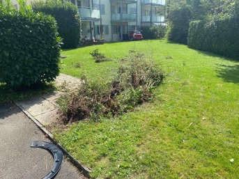 Auto prallt in Hausmauer
