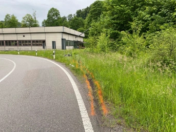 Motorradlenker prallt in Strassenschild