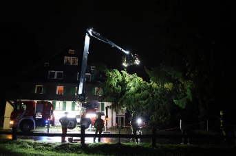 Baum stürzt auf Hausdach