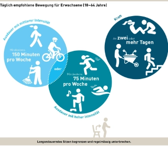 Bewegungsempfehlungen für Erwachsene