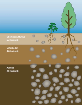 Schematischer Aufbau der Bodenhorizonte